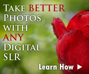 digital slr lessons