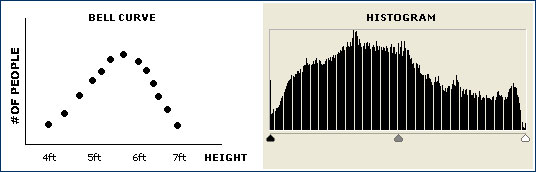 bell curve histogram
