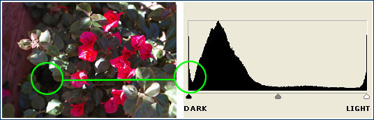 strong contrast histogram
