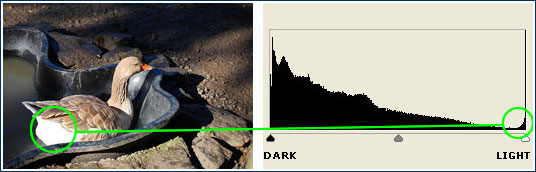 strong contrast histogram